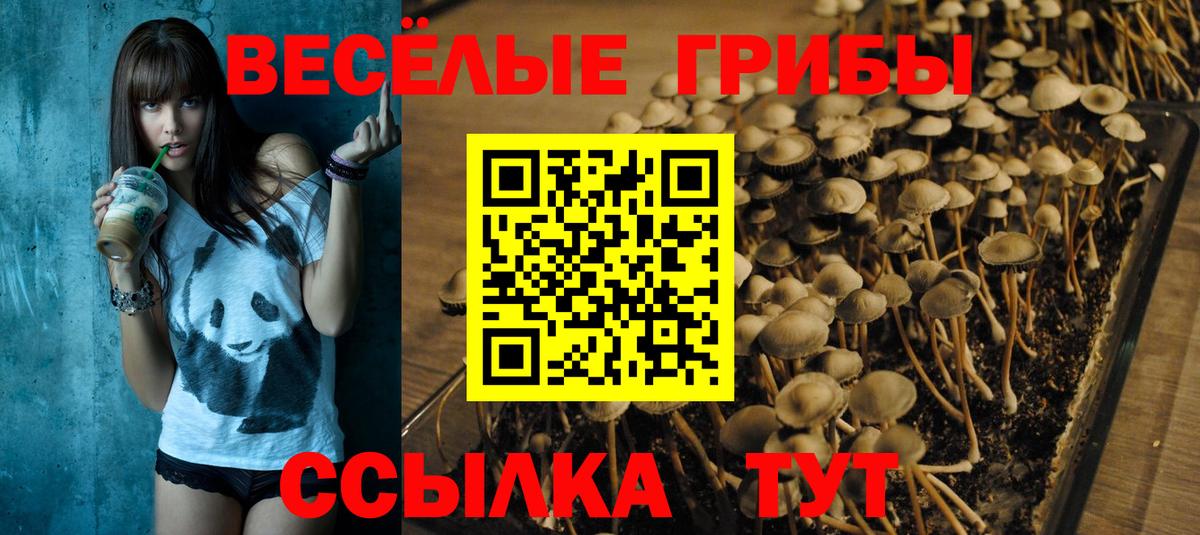 Псилоцибиновые грибы Psilocybine cubensis  Вход с VPN  Псилоцибиновые грибы Cubensis  Миллерово 