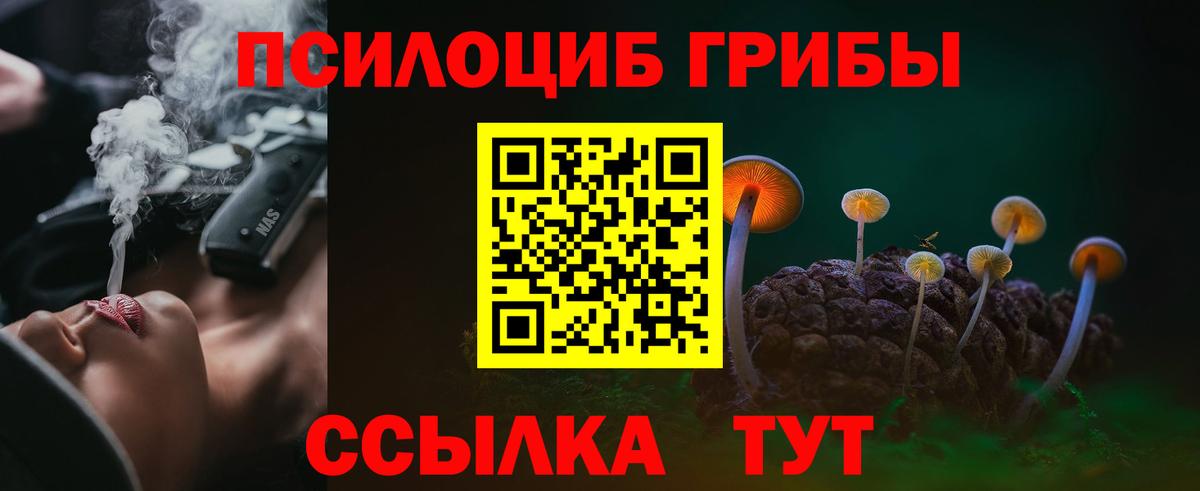 Псилоцибиновые грибы Psilocybine cubensis Миллерово